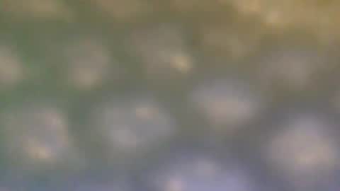 Snapshot of that_thing20 chatting on March 5, 7:06 pm that_thing20 online show from March 5, 7:06 pm