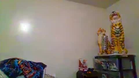 Snapshot of thatgirl4201 chatting on November 15, 5:27 am thatgirl4201 online show from November 15, 5:27 am