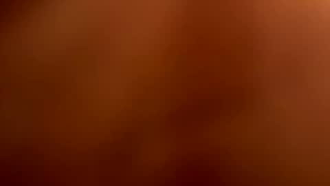 That guy  follow on X online show from December 14, 4:34 pm