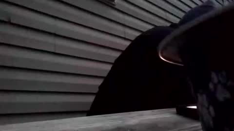 the_invincible_1 online show from November 2, 11:45 am