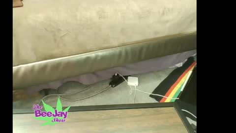 TheBeeJayShow online show from May 23, 1:48 pm