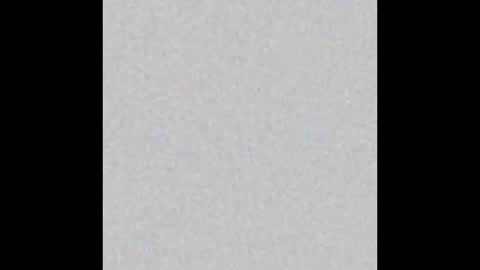 Wolf Independent model online show from November 30, 2:43 pm