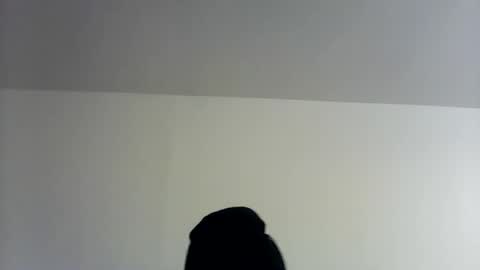 theman18951pa online show from November 1, 10:06 am