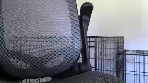 Snapshot of themaneb chatting on October 23, 2:49 pm themaneb online show from October 23, 2:49 pm