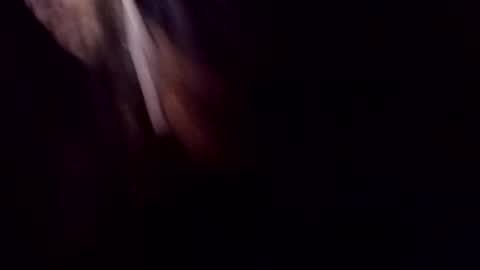 theprofessorxo online show from September 29, 12:49 am