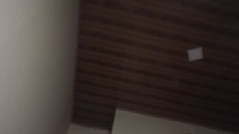 Snapshot of therazhanen chatting on December 6, 6:48 am Santiago Enrique online show from December 6, 6:48 am