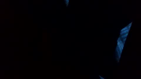 thisdixforyou online show from December 31, 7:40 pm