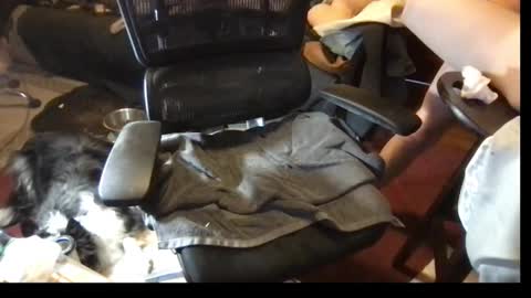 thundersword online show from March 8, 7:09 pm