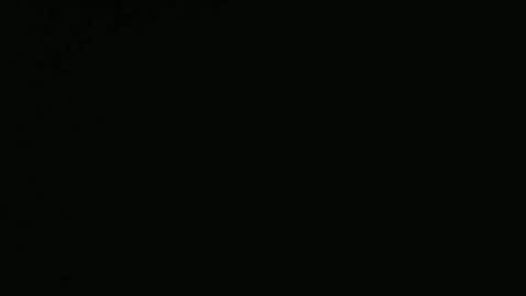 Snapshot of tiago2588 chatting on February 9, 8:13 pm tiago2588 online show from February 9, 8:13 pm