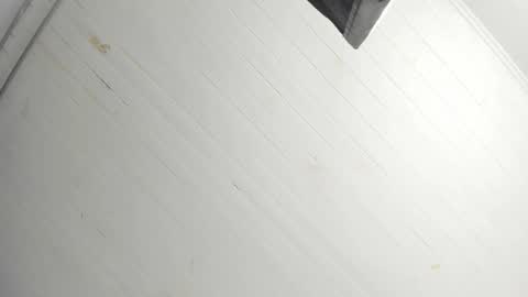 Tiffany online show from December 22, 1:08 pm