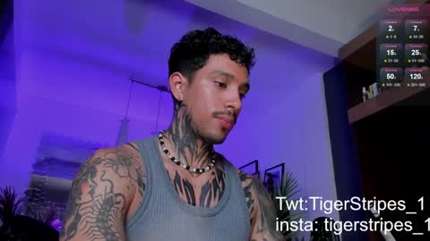 Snapshot of tigerstripes_ chatting on March 2, 1:47 am Chris online show from March 2, 1:47 am