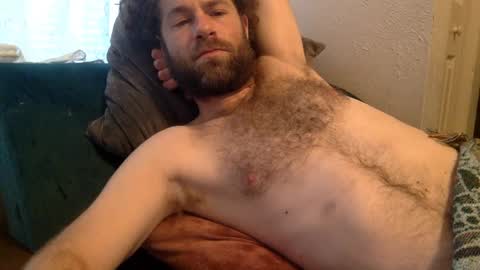 tigerzaddy online show from December 8, 2:41 pm
