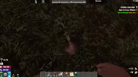 Snapshot of timlooking1 chatting on February 15, 8:22 am TimLooking online show from February 15, 8:22 am