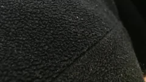 Snapshot of tinyslut66 chatting on November 17, 10:59 pm tinyslut66 online show from November 17, 10:59 pm