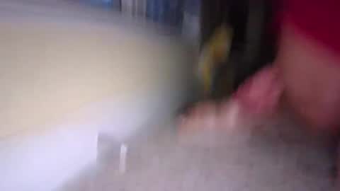 Snapshot of tj526316275 chatting on January 9, 12:19 pm tj526316275 online show from January 9, 12:19 pm