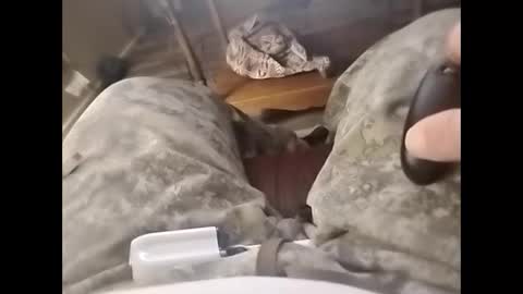 tjllagwbggrr online show from February 3, 5:16 am