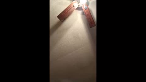 Vols online show from January 11, 1:27 pm