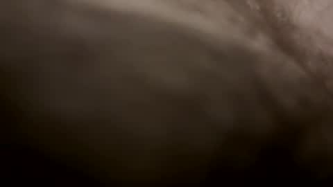 toesturnmeon online show from October 11, 7:29 am