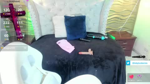 toky         online show from February 4, 9:20 pm