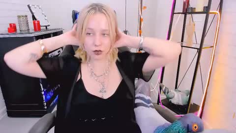 Snapshot of tollimoll chatting on December 6, 12:16 pm Tolli Moll online show from December 6, 12:16 pm