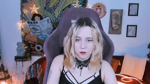 Snapshot of tollimoll chatting on January 17, 11:49 am Tolli Moll online show from January 17, 11:49 am