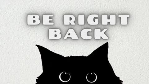 Snapshot of tollimoll chatting on January 28, 11:49 am Tolli Moll online show from January 28, 11:49 am