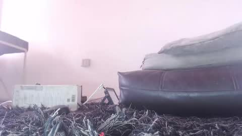   Thomas    online show from February 26, 6:07 pm