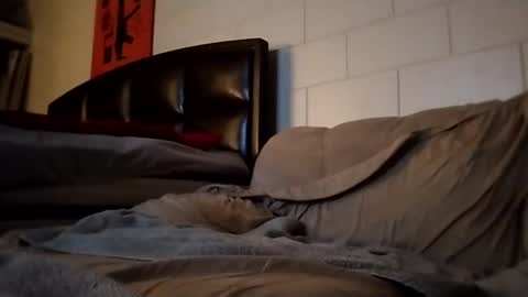 Snapshot of tomthebomb347 chatting on September 14, 10:20 pm tomthebomb347 online show from September 14, 10:20 pm