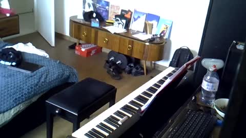 tootsybird69 online show from June 16, 5:59 pm