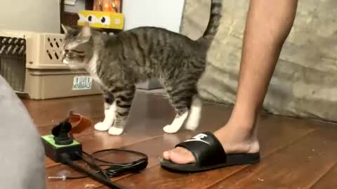 Snapshot of toptierdrippa chatting on March 3, 12:11 pm TopTierDrippa online show from March 3, 12:11 pm