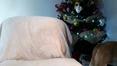 Snapshot of torino_19 chatting on November 28, 1:52 am Enzo Moretti online show from November 28, 1:52 am