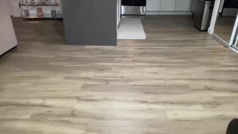 ASH online show from February 8, 4:36 am