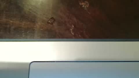 totxxx335 online show from December 15, 8:57 pm