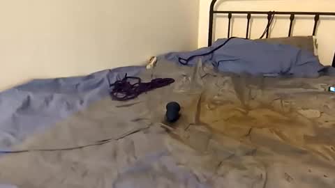 toxic2lust online show from March 4, 6:58 pm