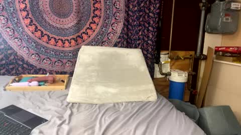 toxiclayne online show from April 10, 2:06 am