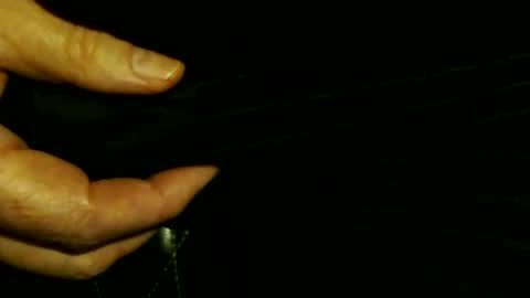 trailblazer1969 online show from October 8, 3:59 am