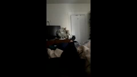 tranediz online show from December 1, 8:03 pm