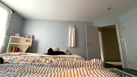 Snapshot of transgirl007 chatting on May 30, 9:12 pm transgirl007 online show from May 30, 9:12 pm