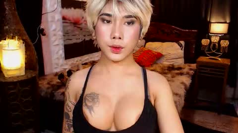 transpornidol online show from February 13, 7:10 pm