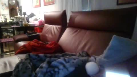 trebgeis1 online show from April 19, 3:39 am