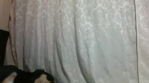 Snapshot of triana_bell chatting on January 14, 2:40 am triana_bell online show from January 14, 2:40 am