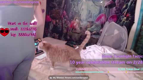 Snapshot of tricky_nymph chatting on February 26, 7:46 pm Cassie online show from February 26, 7:46 pm