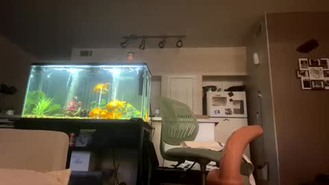 trickydick6 online show from March 20, 8:35 pm