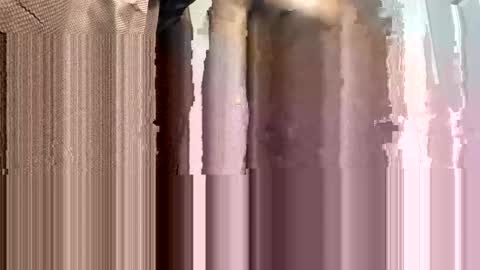 WapBopper online show from February 2, 1:55 am