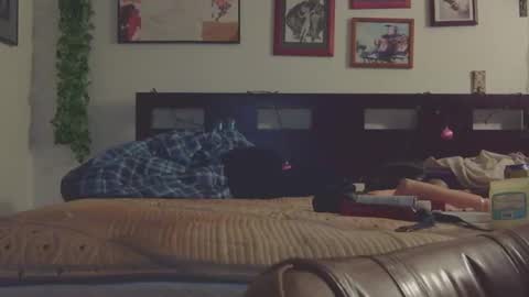 Snapshot of trinasvede chatting on March 9, 6:28 am Trina Tushy Deluxe online show from March 9, 6:28 am