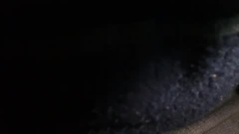 trobelle online show from December 20, 2:49 pm