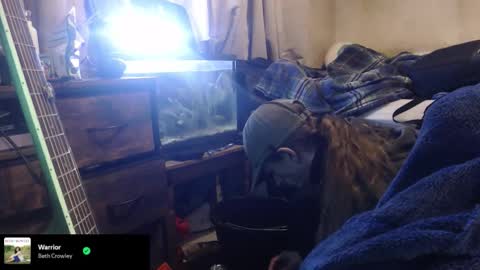 Snapshot of trooper0690 chatting on February 12, 6:14 pm trooper0690 online show from February 12, 6:14 pm