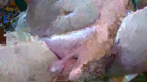 Snapshot of troy1965 chatting on January 6, 4:47 am troy1965 online show from January 6, 4:47 am