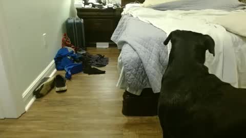 Snapshot of troy1965 chatting on September 29, 4:39 am troy1965 online show from September 29, 4:39 am