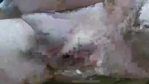 Snapshot of troy1965 chatting on February 11, 6:07 am troy1965 online show from February 11, 6:07 am